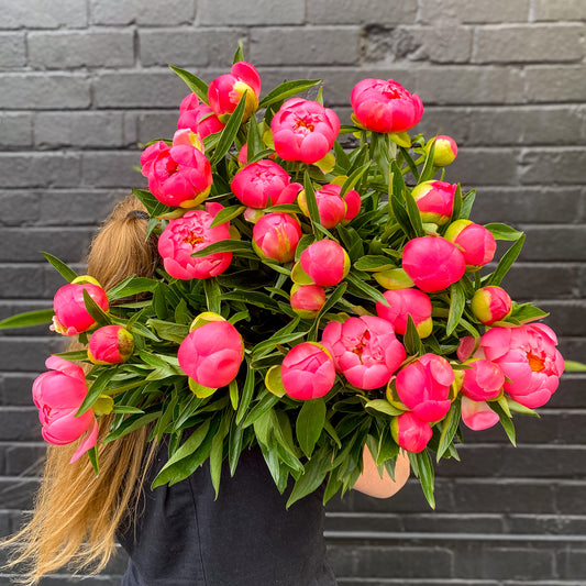 Peonies