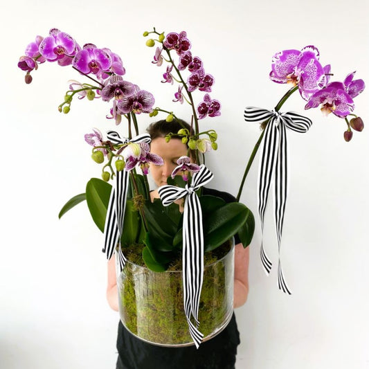 zen - Perrotts Florists