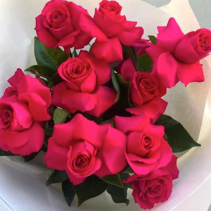 Rose Kaleidoscope - Perrotts