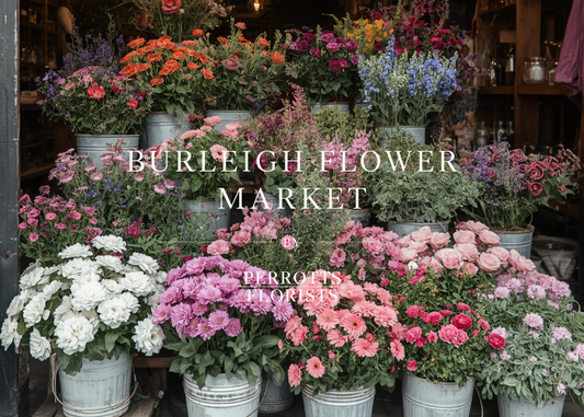 Burleigh Flower Market Has Landed on James Street