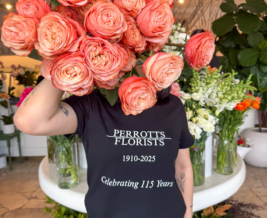 Celebrating 115 Years of Perrotts!