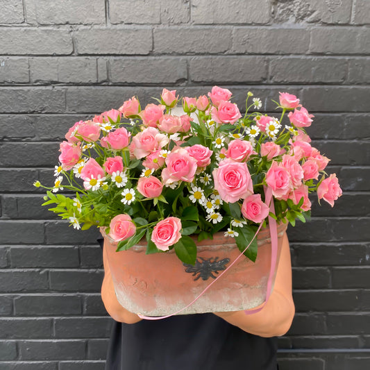 Sweet Bee Spray Rose Pot