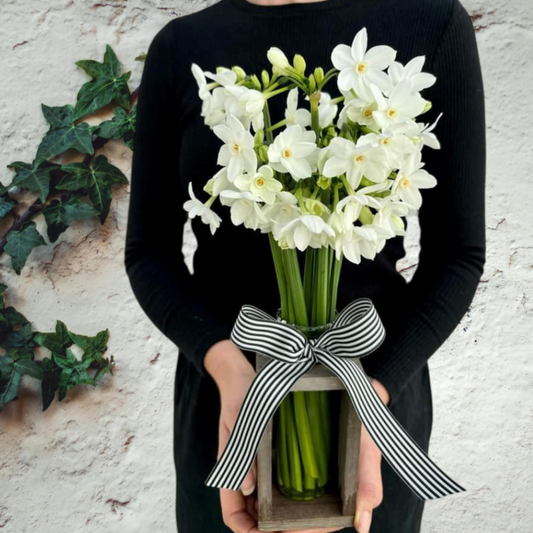 Paperwhites in a rustic vase with wooden frame