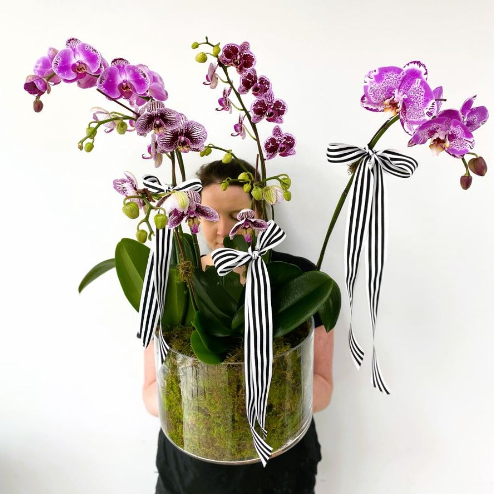 
                  
                    zen - Perrotts Florists
                  
                