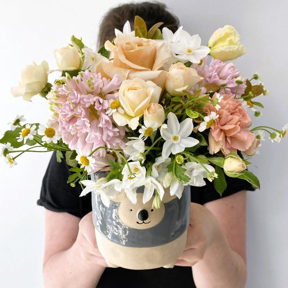 koala ceramic - Perrotts Florists
