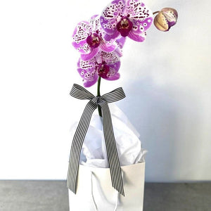 
                  
                    Flowering Keepsake - Perrotts Florists
                  
                