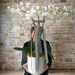 Coco Ceramica - Perrotts Florists