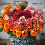 Rose Kaleidoscope - Perrotts