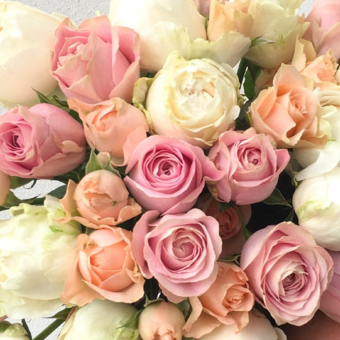 
                  
                    Simply Roses - Perrotts
                  
                