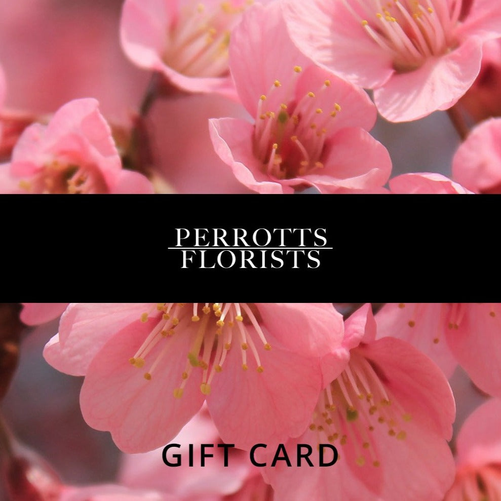 Perrotts E-Gift Card - Perrotts Florists