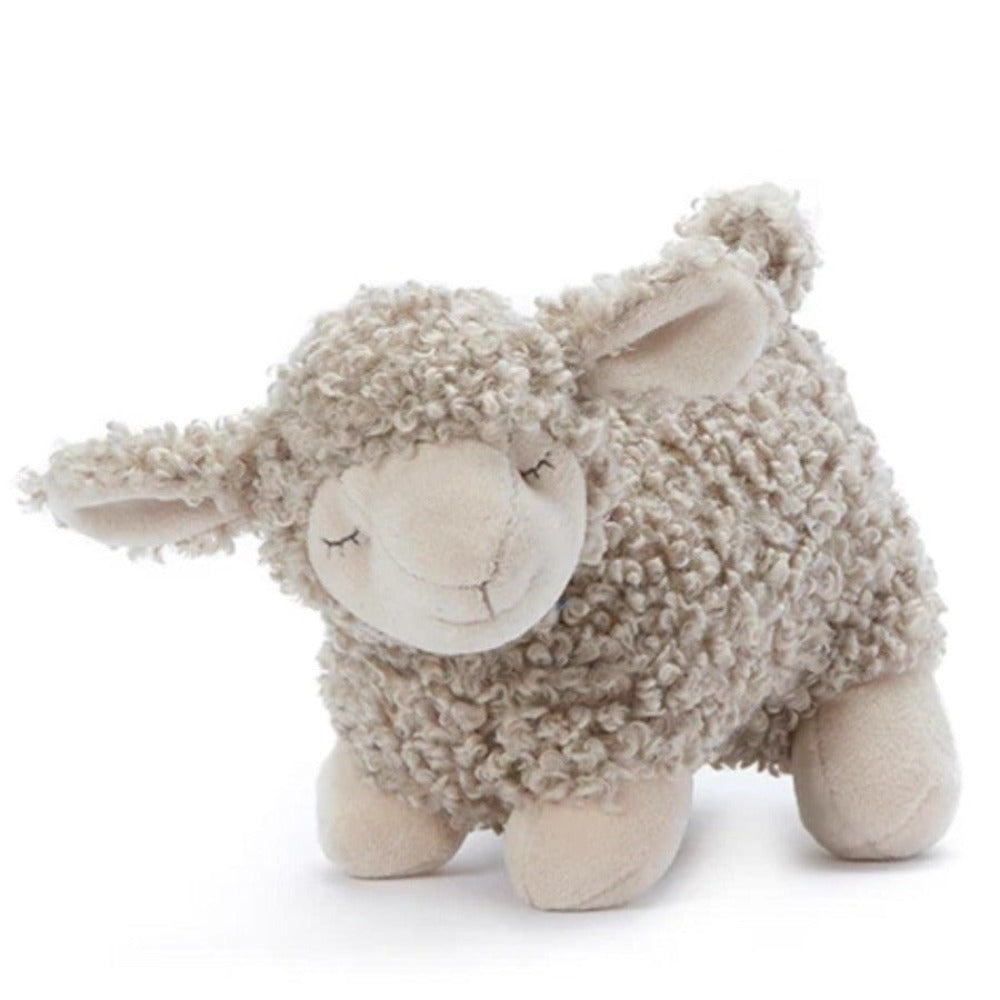 Lucy the lamb - Perrotts Florists